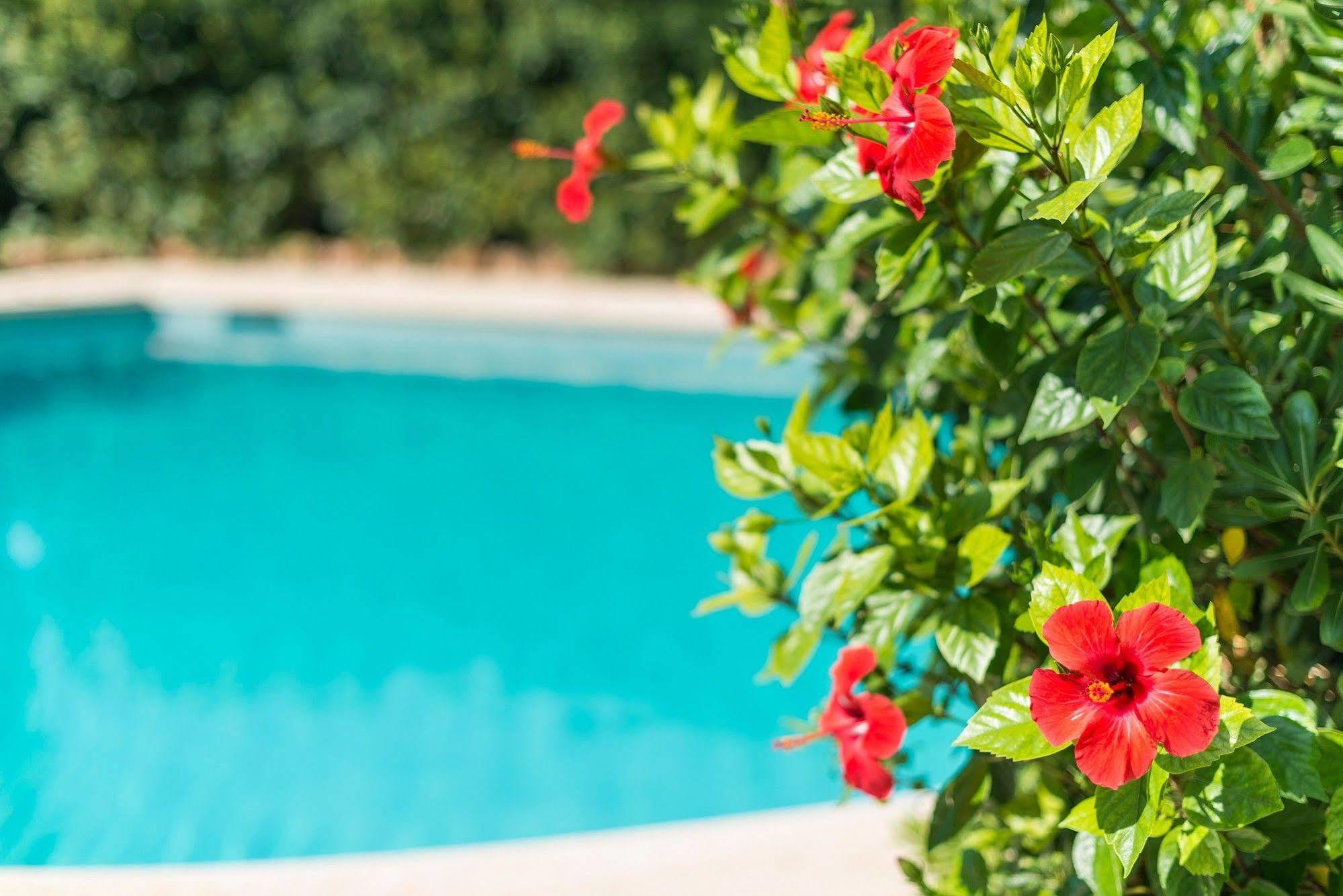 Hostal Casa Bauza Кала Ратхада Екстериор снимка